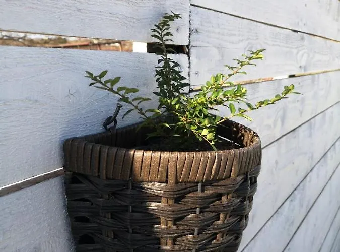 Apartman House Dalma